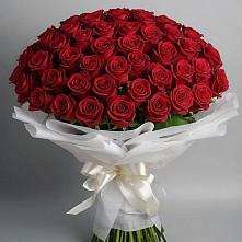 Букет 101 Красная роза Блэк Мэджик в Яндаре