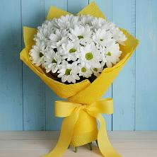 Букет цветов из:  Хризантемы в Яндаре
