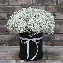 Цветочная композиция из Гипсофила в шляпной коробке в Яндаре